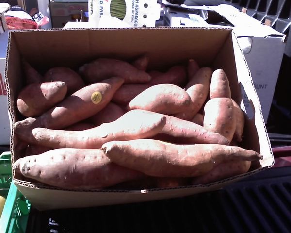 garnet sweet potato